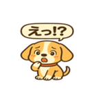 ビーグルのPOPスタンプ（個別スタンプ：31）