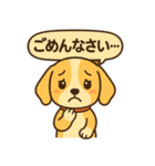 ビーグルのPOPスタンプ（個別スタンプ：36）