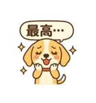 ビーグルのPOPスタンプ（個別スタンプ：37）