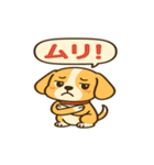 ビーグルのPOPスタンプ（個別スタンプ：38）
