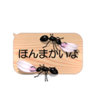 スマホの上のアリ5《関西弁》（個別スタンプ：5）