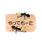 スマホの上のアリ5《関西弁》（個別スタンプ：13）