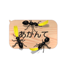 スマホの上のアリ5《関西弁》（個別スタンプ：14）