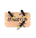 スマホの上のアリ5《関西弁》（個別スタンプ：15）
