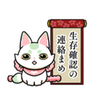 まめのすけの生存確認スタンプ（個別スタンプ：1）