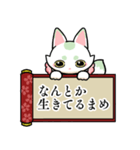 まめのすけの生存確認スタンプ（個別スタンプ：5）