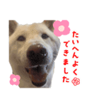 そらまる君❶（個別スタンプ：8）