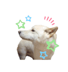 そらまる君❶（個別スタンプ：9）