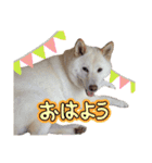 そらまる君❶（個別スタンプ：10）