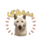 そらまる君❶（個別スタンプ：15）