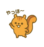 色々動物日常会話スタンプ（個別スタンプ：1）