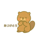 色々動物日常会話スタンプ（個別スタンプ：14）