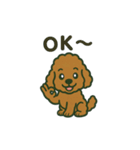 ラブのトイプードル（個別スタンプ：2）