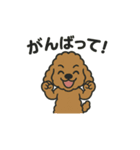 ラブのトイプードル（個別スタンプ：3）