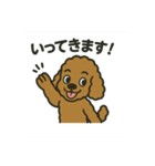 ラブのトイプードル（個別スタンプ：8）