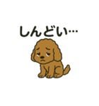 ラブのトイプードル（個別スタンプ：13）
