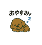 ラブのトイプードル（個別スタンプ：15）
