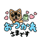 今日のチワワちゃん（個別スタンプ：11）