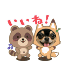 今日のチワワちゃん（個別スタンプ：13）
