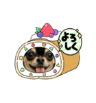 今日のチワワちゃん（個別スタンプ：22）