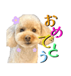 にか 〜あたしの記憶〜 season.1（個別スタンプ：1）