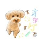 にか 〜あたしの記憶〜 season.1（個別スタンプ：2）