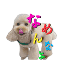 にか 〜あたしの記憶〜 season.1（個別スタンプ：3）