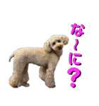 にか 〜あたしの記憶〜 season.1（個別スタンプ：7）
