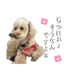 にか 〜あたしの記憶〜 season.1（個別スタンプ：8）