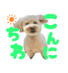 にか 〜あたしの記憶〜 season.1（個別スタンプ：10）
