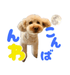 にか 〜あたしの記憶〜 season.1（個別スタンプ：11）