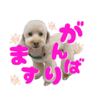 にか 〜あたしの記憶〜 season.1（個別スタンプ：12）