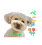 にか 〜あたしの記憶〜 season.1（個別スタンプ：13）