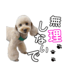 にか 〜あたしの記憶〜 season.1（個別スタンプ：14）