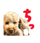 にか 〜あたしの記憶〜 season.1（個別スタンプ：15）
