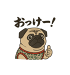 シン・ししまる(パグ犬)40スタンプ（個別スタンプ：1）