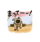 シン・ししまる(パグ犬)40スタンプ（個別スタンプ：6）