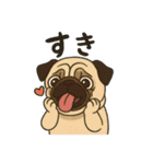 シン・ししまる(パグ犬)40スタンプ（個別スタンプ：11）