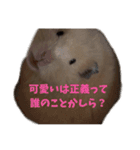 オネェハムスター蜂蜜（個別スタンプ：1）