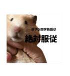 オネェハムスター蜂蜜（個別スタンプ：7）