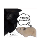 オネェハムスター蜂蜜（個別スタンプ：8）