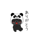 パンダ帽の黒いポメラニアンのスタンプ（個別スタンプ：1）