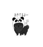 パンダ帽の黒いポメラニアンのスタンプ（個別スタンプ：13）