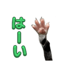 毎日使えるレアの日常（個別スタンプ：4）