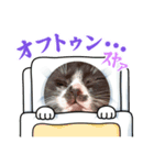 毎日使えるレアの日常（個別スタンプ：6）