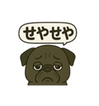 茂造関西弁スタンプ（個別スタンプ：17）