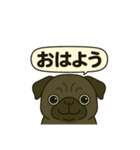 茂造関西弁スタンプ（個別スタンプ：37）