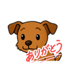 ミニチュアピンシャーのセバスチャン②（個別スタンプ：5）