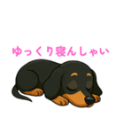 かわいいダックスフンドの【博多弁】（個別スタンプ：3）