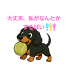 かわいいダックスフンドの【博多弁】（個別スタンプ：12）